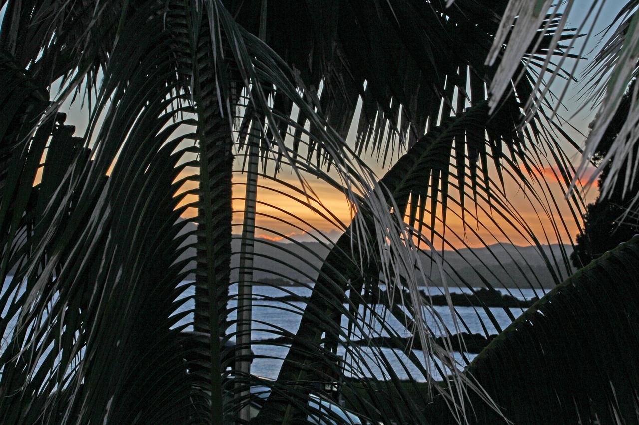 Driftwood Lodge Beachfront, Cable Bay, Northland Coopers Beach Exterior foto